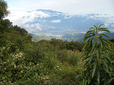 Abra de Batan