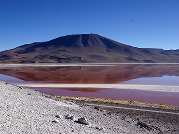 Laguna Colorada