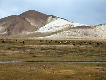 N.P. Avaroa landscape