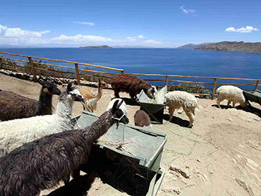 Lake Titicaca