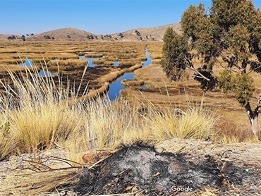 Lake Titicaca, Pariti